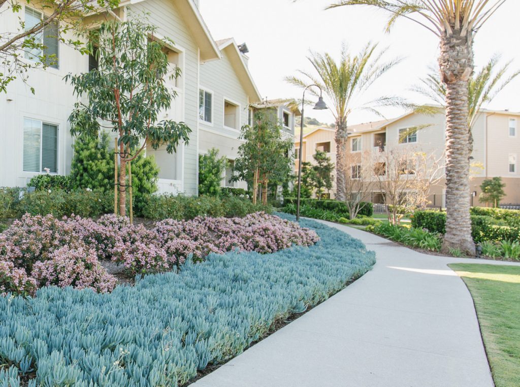 Landscape architecture landscape construction 01 RGS Services Inc 